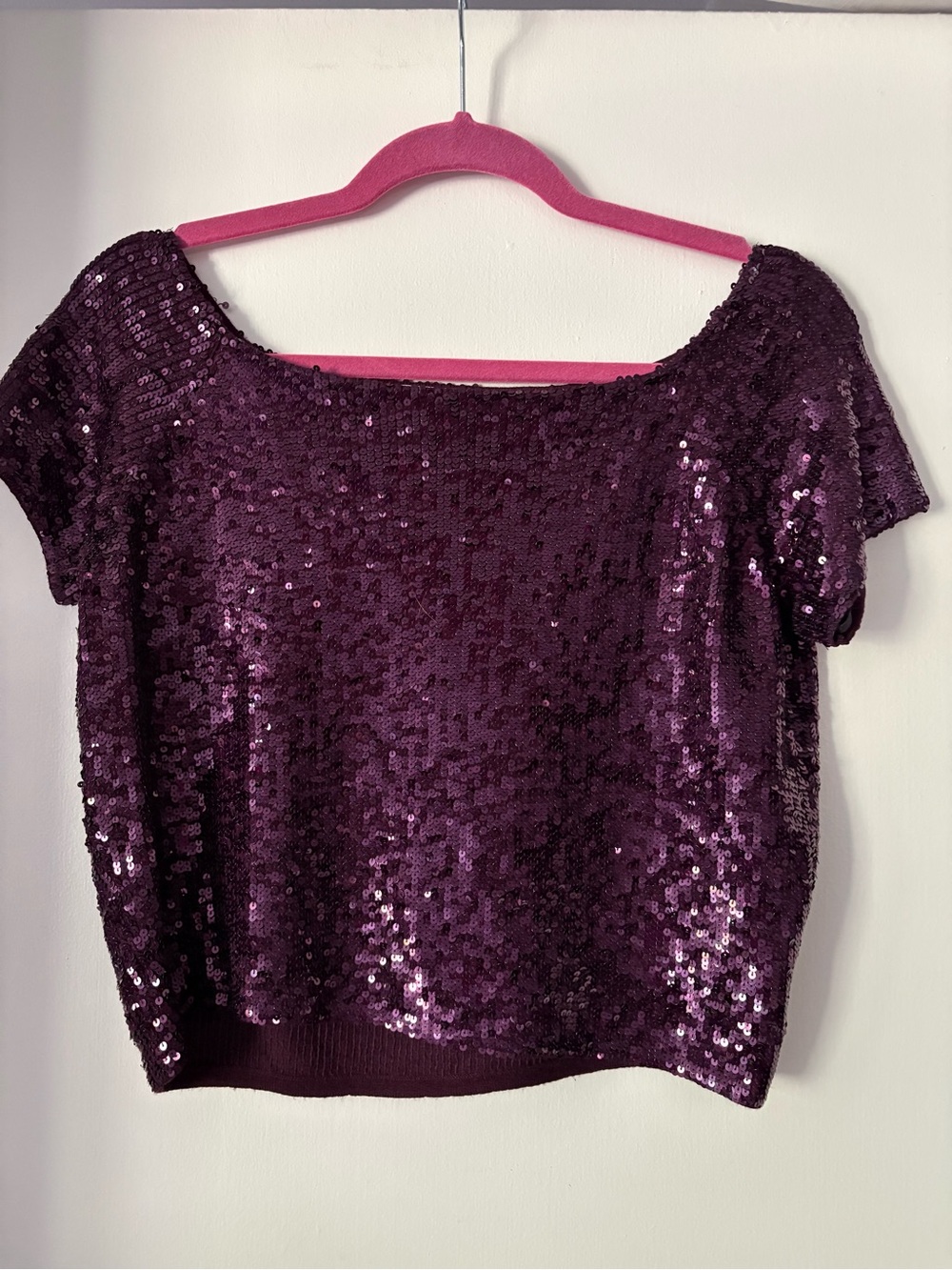 Carlisle Purple Sequin Crop Top